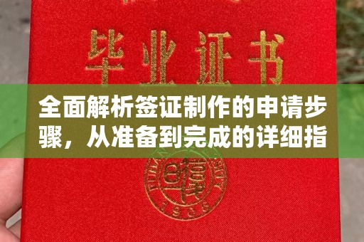 惠山全面解析签证制作的申请步骤，从准备到完成的详细指南